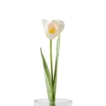 Decorative Tulip Flower, Multi colors, Height 61 cm