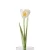Decorative Tulip Flower, Multi colors, Height 61 cm