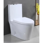 White Floor Mounted Toilet, Modern Design