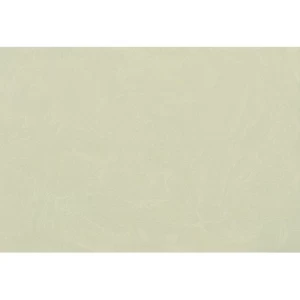 Italian Wallpaper Patterned Design Pale Green Color, Size 10mx0.73m, Model 57182 | Balbaid Decor Company