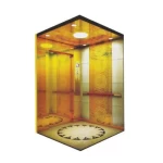 Villa Elevators