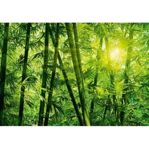 Mural Image Tropical Design 366cm × 254cm Green | Balbaid Decor Company