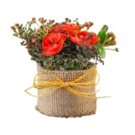 Decorative Artificial Plant for Indoor Use, 30 cm Height, width 8 cm, multi colors