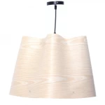 Medium Ceiling Holder Pendant, Size 45x32 cm, 1 m Wire