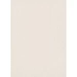 ورق حائط الماني سادة مقاس 10 م× 0.53 م، لون بيج فاتح، موديل 14-10004