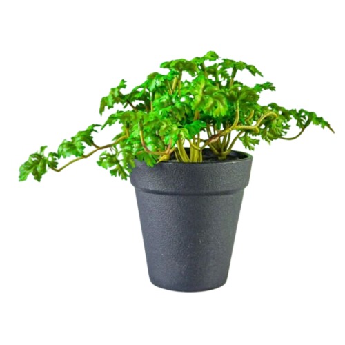 Donga Artificial Plant 18 cm Height, Black and Green Color | Donga