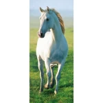Mural image horses design, size 86×200cm, white color